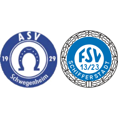 (3M) ASV Schwegenheim <span class="nowrap bold mx-1">2 : 1</span> FSV 13/23 Schifferstadt III