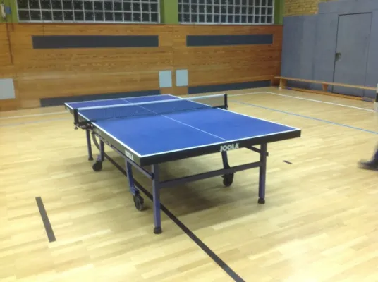 FSV Tischtenniscup 2014