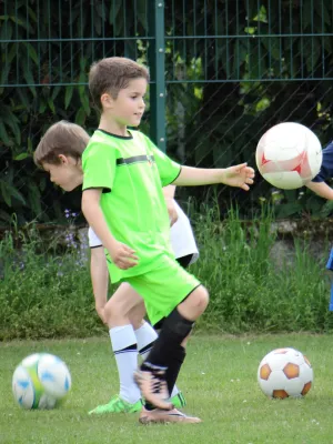 Trainingsimpressionen Juli 2016