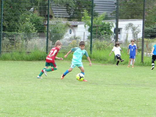 Trainingsimpressionen Juli 2016