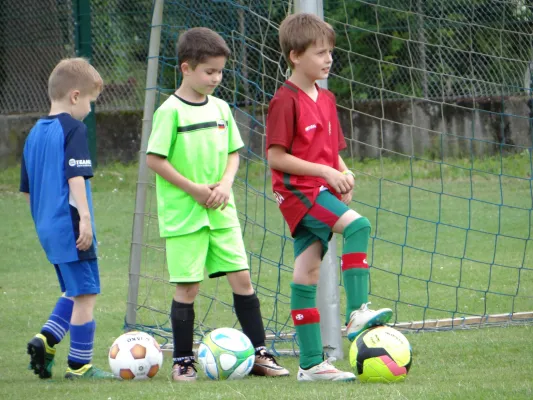 Trainingsimpressionen Juli 2016