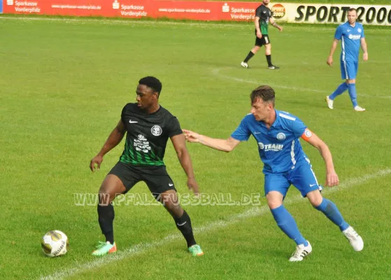18.05.2017 FSV Schifferstadt vs. VfR Grünstadt