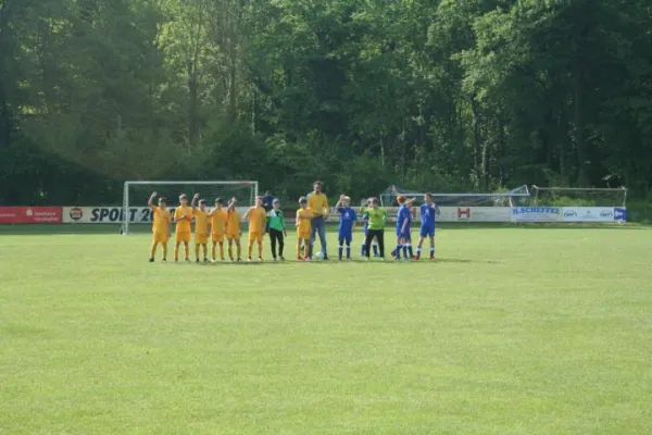 29.04.2018 FSV Schifferstadt vs. TuS Wachenheim