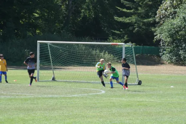 12.08.2018 FSV Schifferstadt vs. FC Arminia