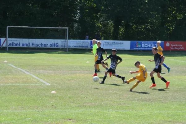 12.08.2018 FSV Schifferstadt vs. FC Arminia