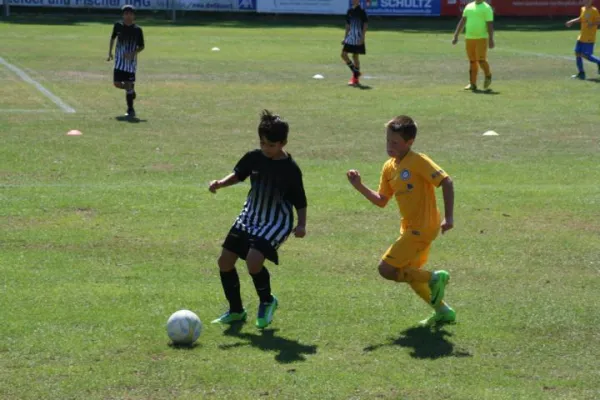 12.08.2018 FSV Schifferstadt vs. FC Arminia