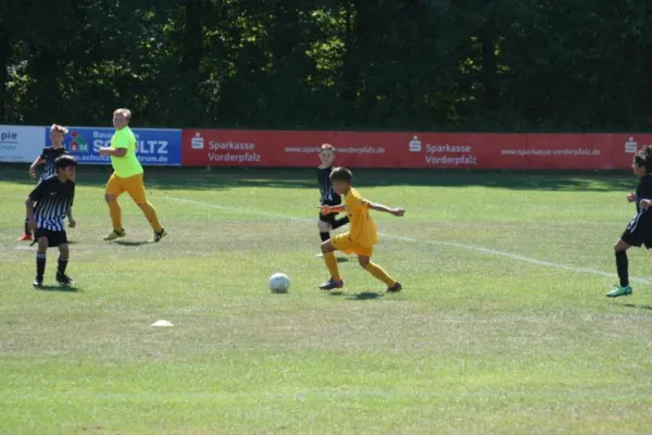 12.08.2018 FSV Schifferstadt vs. FC Arminia