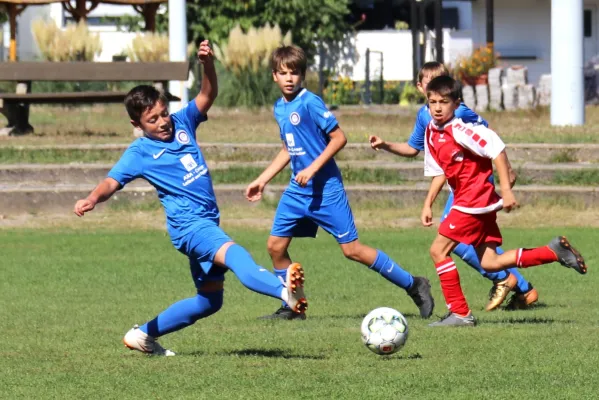 08.09.2018 FSV Schifferstadt vs. SpVgg RW Speyer