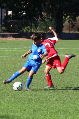 08.09.2018 FSV Schifferstadt vs. SpVgg RW Speyer