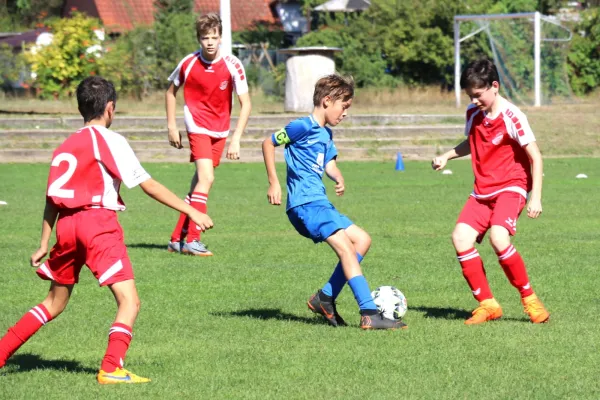 08.09.2018 FSV Schifferstadt vs. SpVgg RW Speyer